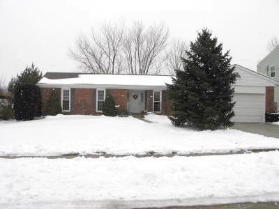 12034 Freestone Ct, Cincinnati, OH 45240 photo 1