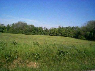 1219 Irvin Rd, Blanchester, OH 45107 photo 3