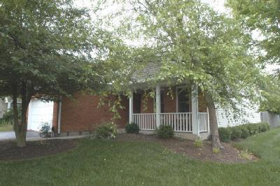 3120 Vineyard Ct, Maineville, OH 45039 photo 3