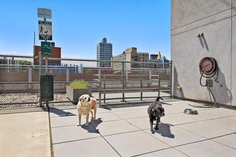 3722 Mackey Rd, Amelia, OH 45102 photo 11