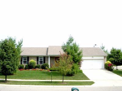 223 Deershadow Rd, Maineville, OH 45039 photo 2