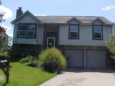 3947 Spring Mill Way, Maineville, OH 45039 photo 1
