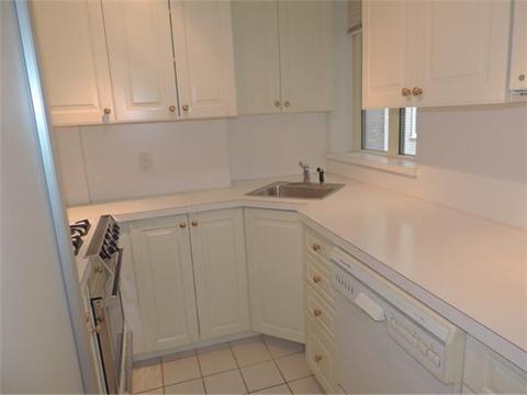 223 Forest Ave, Cincinnati, OH 45229 photo 6