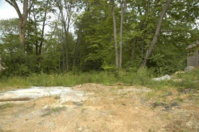 9923 Beech Dr, Springfield Twp., OH 45231 photo 3