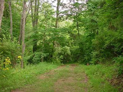 1890 Devils Backbone Rd, Cincinnati, OH 45233 photo 1