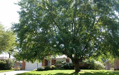 7970 Merrymaker Ln, Cincinnati, OH 45236 photo 1