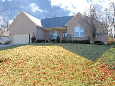 567 Hopper View Blf, Cincinnati, OH 45255 photo 1