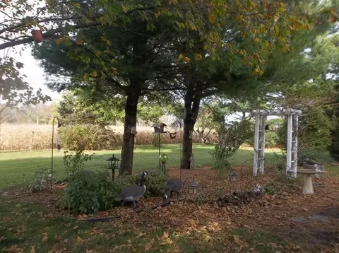 4987 Gearhiser Rd, Waldo, OH 43356 photo 8