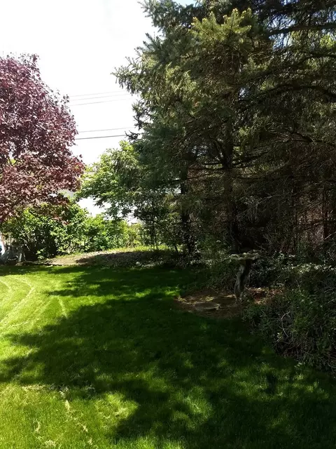 669 Concord, Marion, OH 43302 photo 4