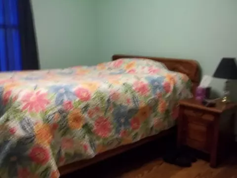 901 E Water, Prospect, OH 43342 photo 8