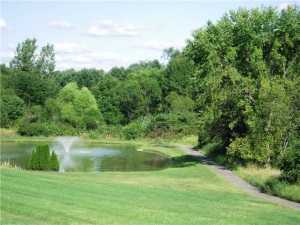 6779 Arbor View Ct, Powell, OH 43065 photo 8