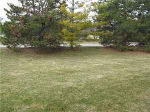 6952 Avery Rd, Dublin, OH 43017 photo 17