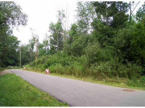 40 E Wilma Dr, Powell, OH 43065 photo 2