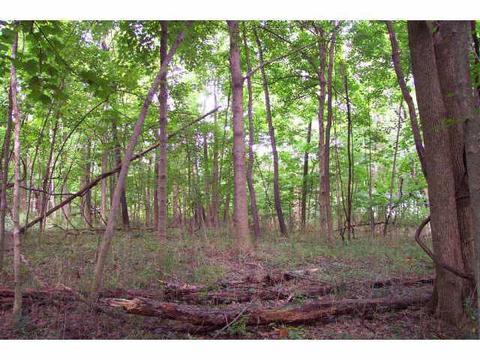 40 E Wilma Dr, Powell, OH 43065 photo 1
