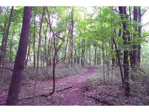 40 E Wilma Dr, Powell, OH 43065 photo 6