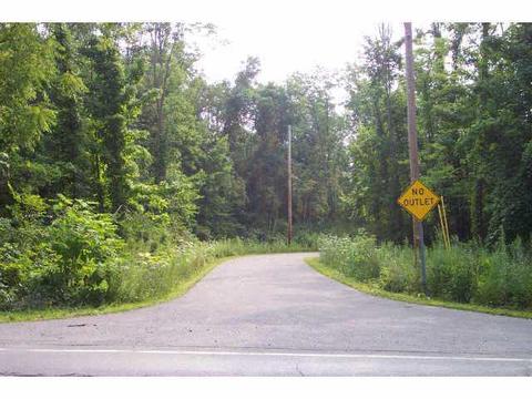 40 E Wilma Dr, Powell, OH 43065 photo 3