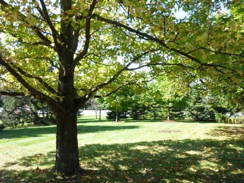7200 Riverside Dr, Dublin, OH 43016 photo 3