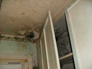 1425 Center Blvd, Springfield, OH 45506 photo 13