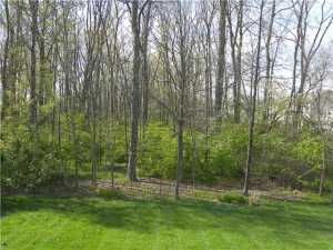 7014 Kellogg Dr, Powell, OH 43065 photo 11