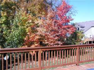7014 Kellogg Dr, Powell, OH 43065 photo 13