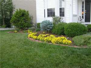 7014 Kellogg Dr, Powell, OH 43065 photo 12