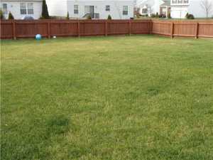 1237 Payne Loop, Blacklick, OH 43004 photo 20