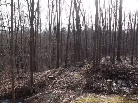 22878 Griffith Rd, Logan, OH 43138 photo 11