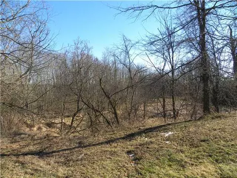605 Mcadams Rd, Cable, OH 43009 photo 3