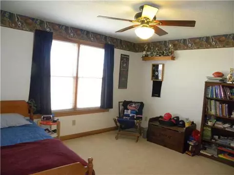 605 Mcadams Rd, Cable, OH 43009 photo 19