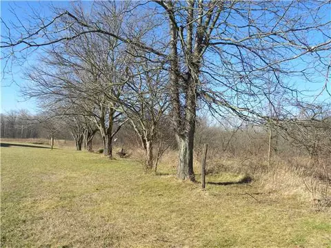 605 Mcadams Rd, Cable, OH 43009 photo 4