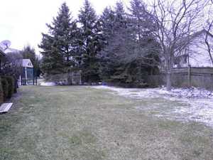 7675 Brandonway Dr, Dublin, OH 43017 photo 3