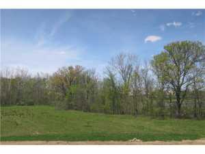 4512 Pleasant View Loop, Powell, OH 43065 photo 24