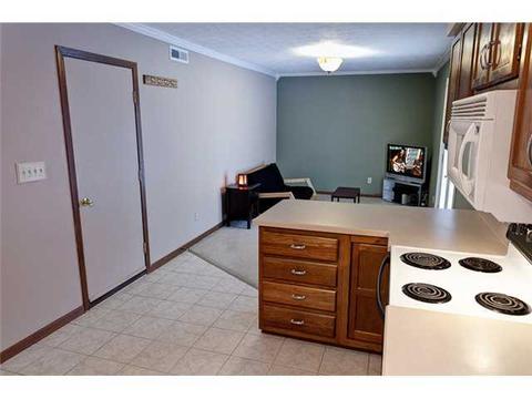8195 Saddle Run, Powell, OH 43065 photo 11