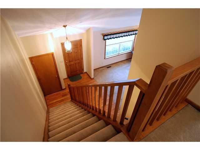 2453 Reginald Ct, Powell, OH 43065 photo 25