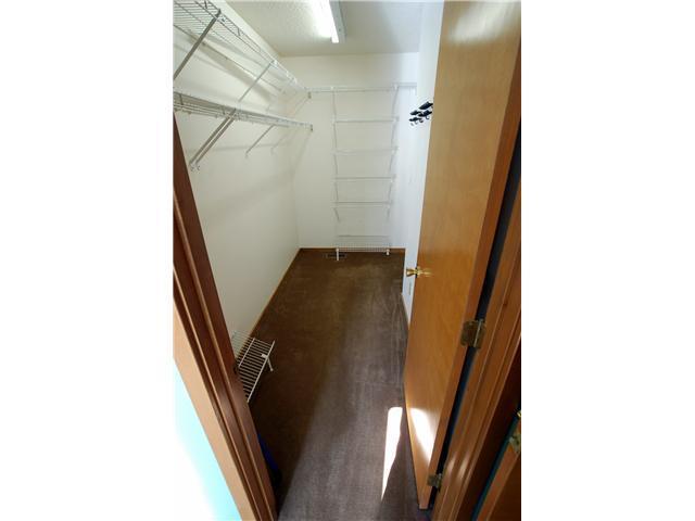 2453 Reginald Ct, Powell, OH 43065 photo 16