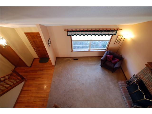 2453 Reginald Ct, Powell, OH 43065 photo 19