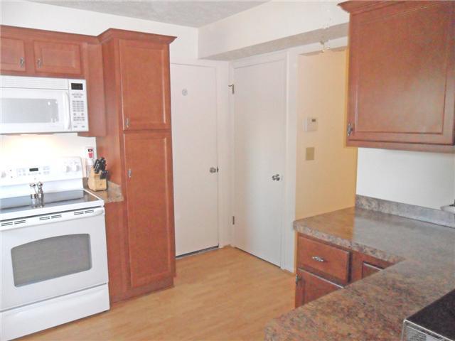 8417 Eldorado Dr, Powell, OH 43065 photo 5