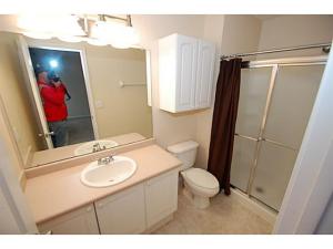 332 Pristine Path, Blacklick, OH 43004 photo 8