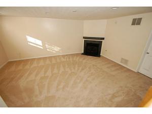 332 Pristine Path, Blacklick, OH 43004 photo 10