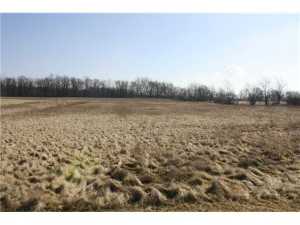 1255 Cambrian Rd, Cable, OH 43009 photo 16