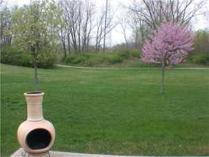 4049 Harris Ln #northridge, Springfield, OH 45503 photo 10