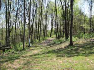 9664 Larimer Rd, Logan, OH 43138 photo 21