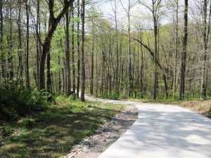 9664 Larimer Rd, Logan, OH 43138 photo 20