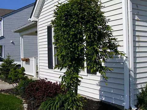 4064 Grayson Dr, Obetz, OH 43207 photo 21