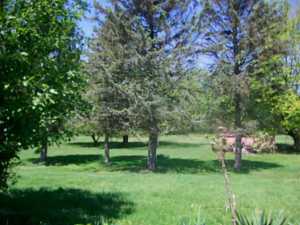 2084 Hyatts Rd, Delaware, OH 43015 photo 8