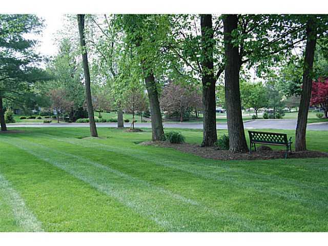 7776 Bartles Ave, Dublin, OH 43017 photo 11