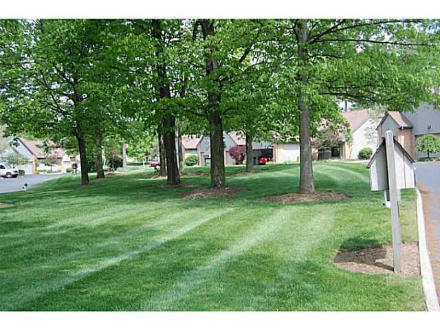 7776 Bartles Ave, Dublin, OH 43017 photo 10