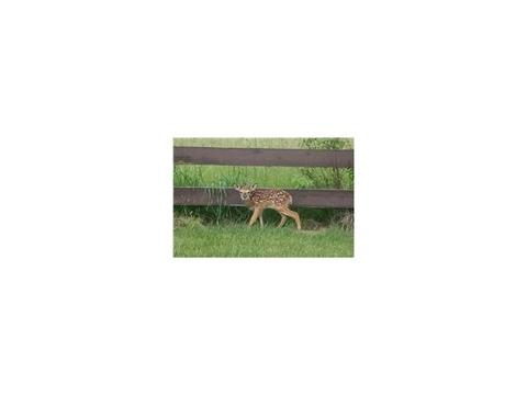 480 Trillium Dr, Galloway, OH 43119 photo 8