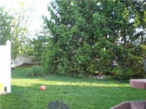 5789 Sharets Dr, Galloway, OH 43119 photo 5