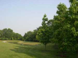 7771 Wareham Dr, Dublin, OH 43016 photo 2